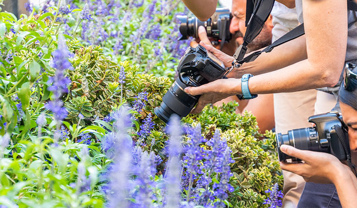 Foto grupo de fotografía